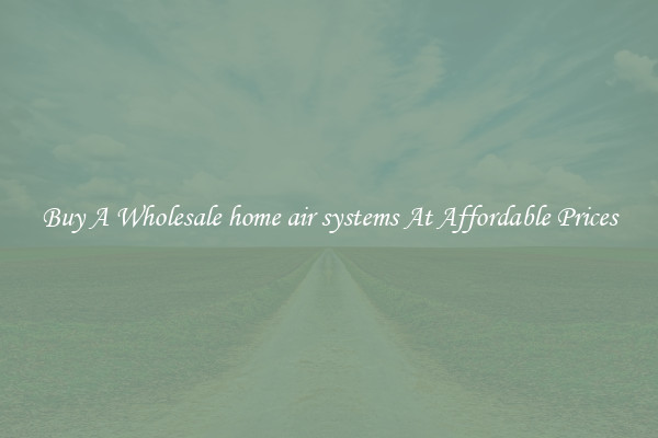 Buy A Wholesale home air systems At Affordable Prices