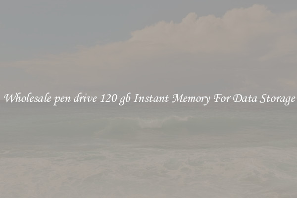 Wholesale pen drive 120 gb Instant Memory For Data Storage