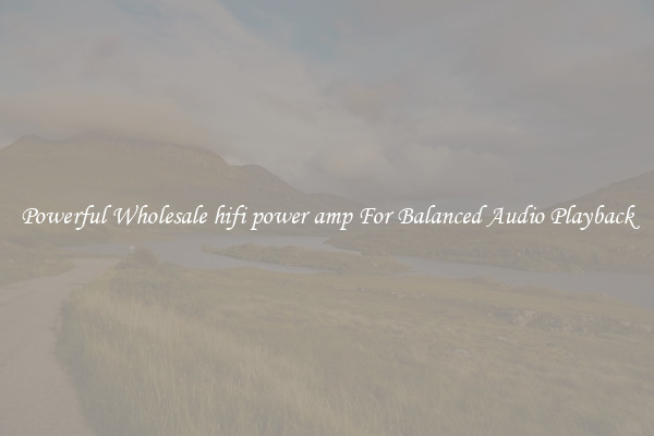 Powerful Wholesale hifi power amp For Balanced Audio Playback