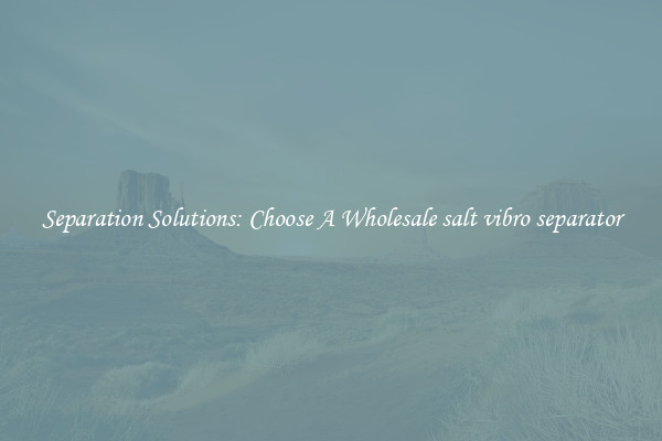 Separation Solutions: Choose A Wholesale salt vibro separator