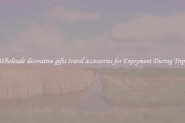 Wholesale decorative gifts travel accessories for Enjoyment During Trips