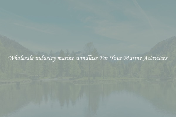 Wholesale industry marine windlass For Your Marine Activities 