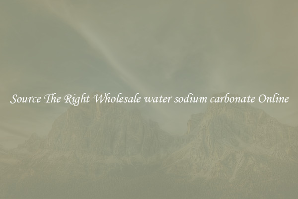 Source The Right Wholesale water sodium carbonate Online