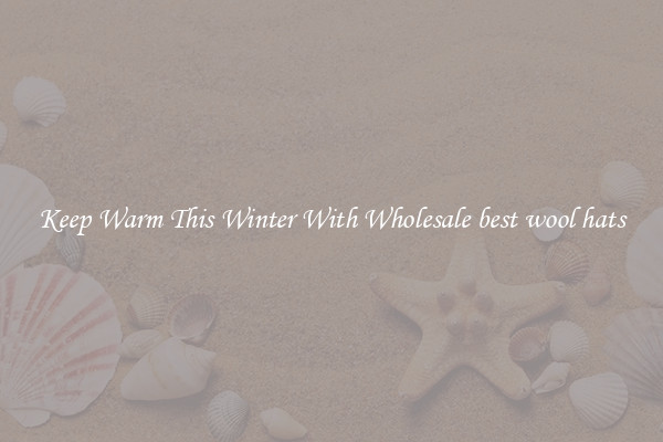 Keep Warm This Winter With Wholesale best wool hats
