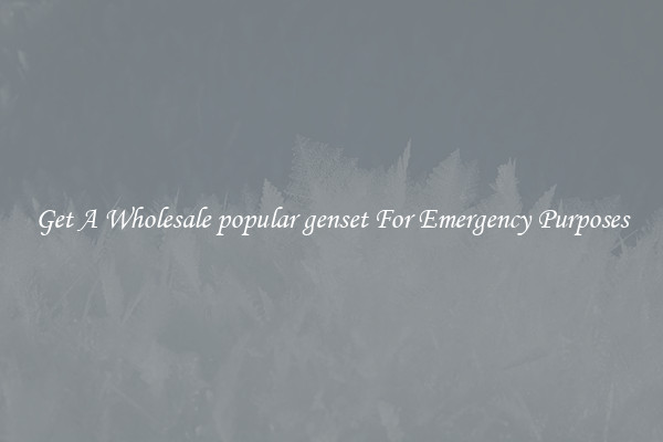 Get A Wholesale popular genset For Emergency Purposes