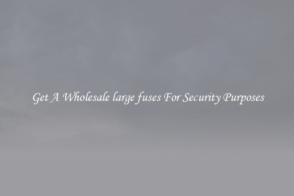 Get A Wholesale large fuses For Security Purposes