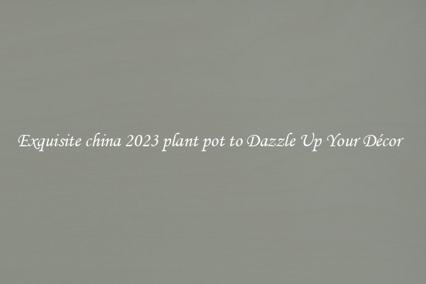Exquisite china 2023 plant pot to Dazzle Up Your Décor  