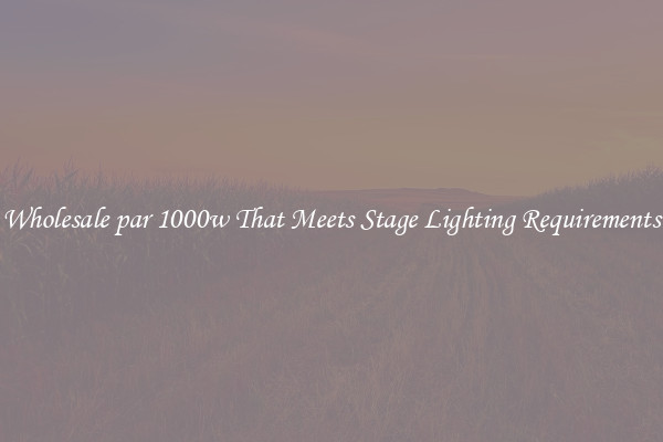 Wholesale par 1000w That Meets Stage Lighting Requirements