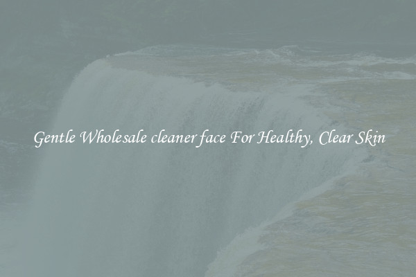 Gentle Wholesale cleaner face For Healthy, Clear Skin
