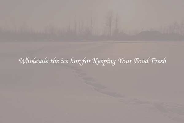 Wholesale the ice box for Keeping Your Food Fresh
