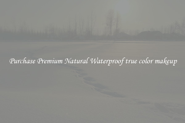 Purchase Premium Natural Waterproof true color makeup