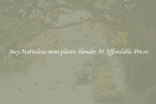 Buy Marvelous mini plastic blender At Affordable Prices
