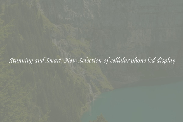 Stunning and Smart, New Selection of cellular phone lcd display