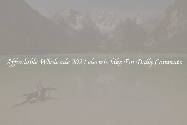 Affordable Wholesale 2024 electric bike For Daily Commute