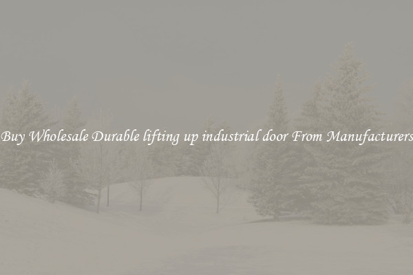 Buy Wholesale Durable lifting up industrial door From Manufacturers