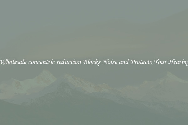 Wholesale concentric reduction Blocks Noise and Protects Your Hearing
