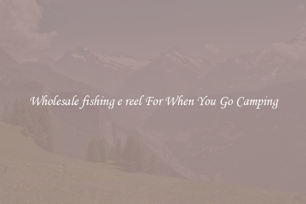 Wholesale fishing e reel For When You Go Camping