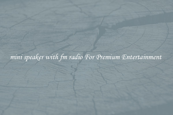 mini speaker with fm radio For Premium Entertainment 