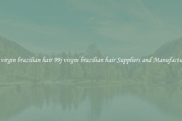 99j virgin brazilian hair 99j virgin brazilian hair Suppliers and Manufacturers