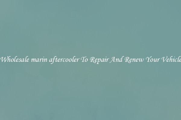 Wholesale marin aftercooler To Repair And Renew Your Vehicle