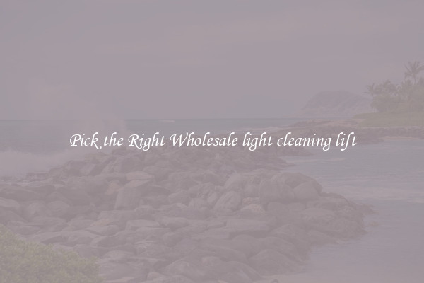 Pick the Right Wholesale light cleaning lift