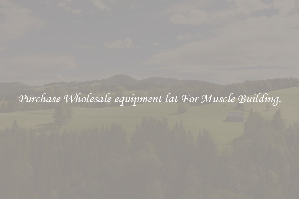 Purchase Wholesale equipment lat For Muscle Building.