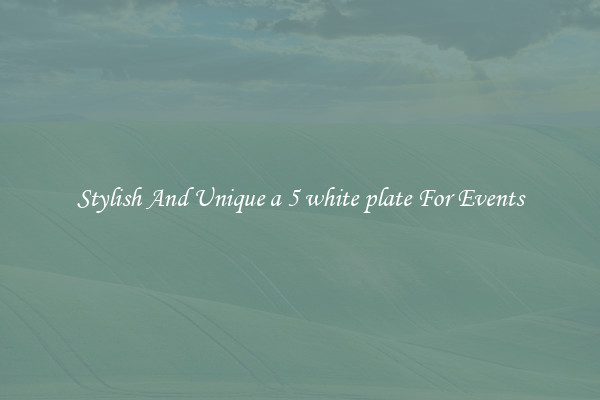 Stylish And Unique a 5 white plate For Events