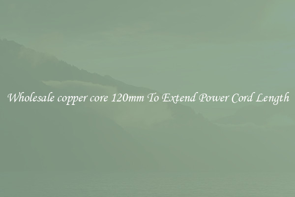 Wholesale copper core 120mm To Extend Power Cord Length